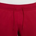 Jordan Jumpman Diamond Men's Shorts