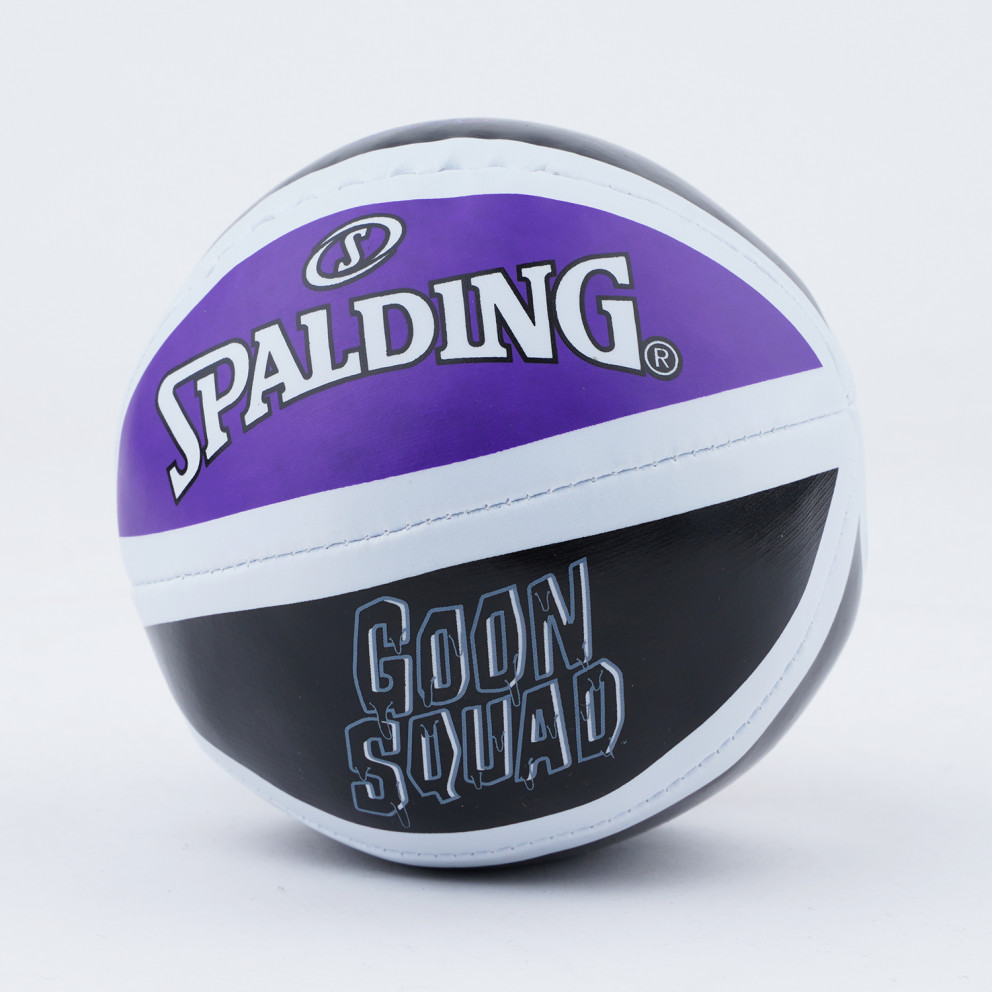Spalding Tune Squad Micro Mini Basketball Board