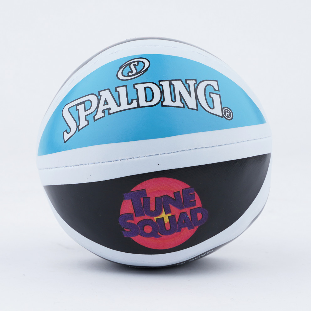 Spalding Tune Squad Micro Mini Basketball Board