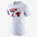 Nike Chicago Bulls Jordan Dri-FIT Ανδρικό T-Shirt