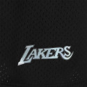 Mitchell & Ness Los Angeles Lakers Iridescent Men's Shorts