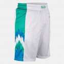 Nike Slovenia Limited Home Short