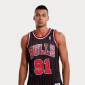 Mitchell & Ness Swingman Dennis Rodman Chicago Bulls 1995-1996 Men's Jersey