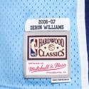 Mitchell & Ness Swingman Deron Williams Utah Jazz 2006-2007 Ανδρική Φανέλα