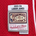 Mitchell & Ness Swingman Jersey Ανδρική Αμάνικη Μπλούζα Cleveland Cavalie