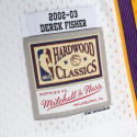 Mitchell & Ness Derek Fisher Los Angeles Lakers Alternate 2002-03 Swingman Ανδρική Φανέλα