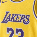 Nike Dri-FIT NBA LeBron James Los Angeles Lakers Swingman Icon Edition 2022/23 Ανδρική Φανέλα