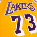 Mitchell & Ness Swingman Dennis Rodman Los Angeles Lakers 73 Ανδρική Μπασκετική Φανέλα