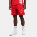 Mitchell & Ness Day Shorts Swingman Shorts 2012