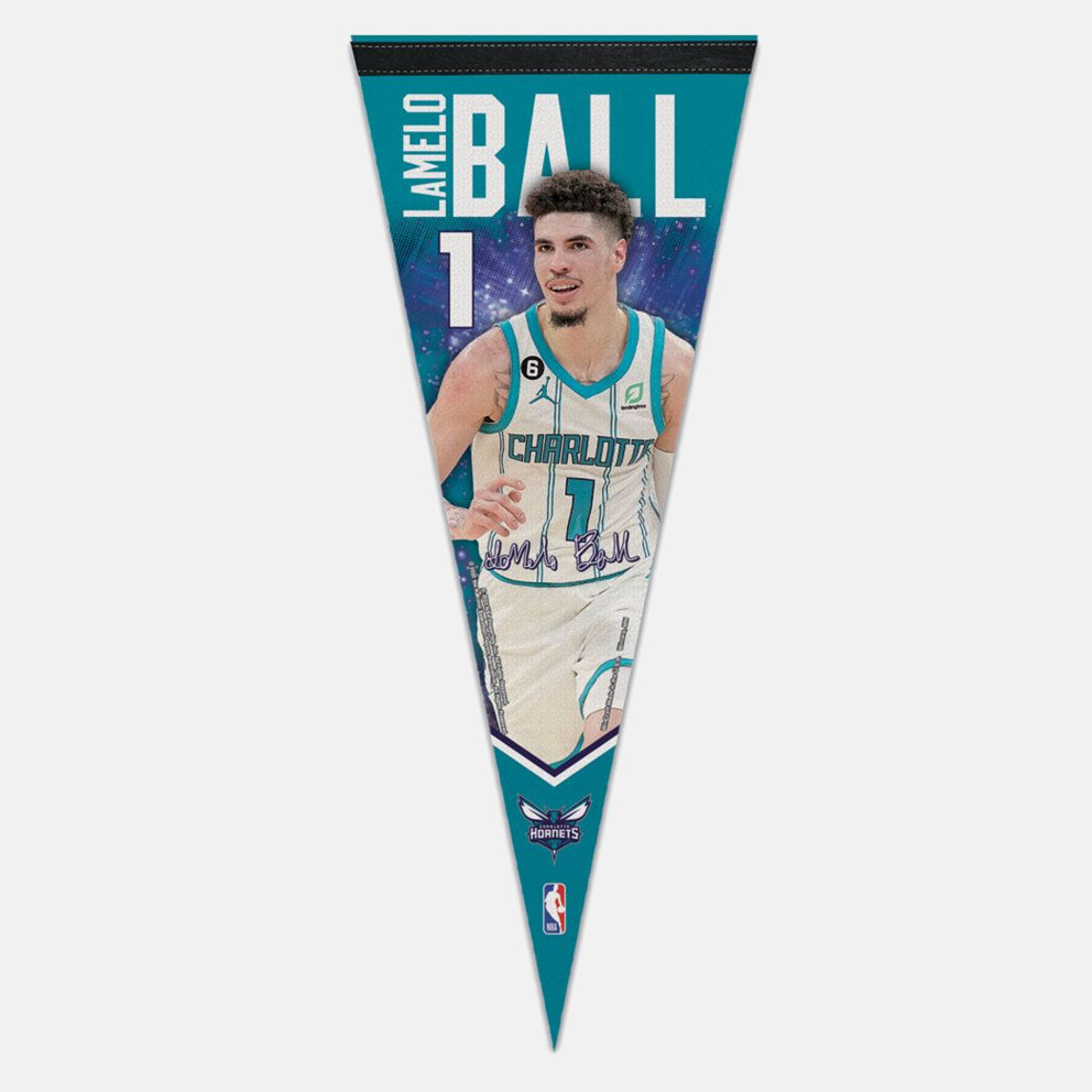 Wincraft Wincraft Nba Pqp Cd Ball / Hornets (9000179251_76369)