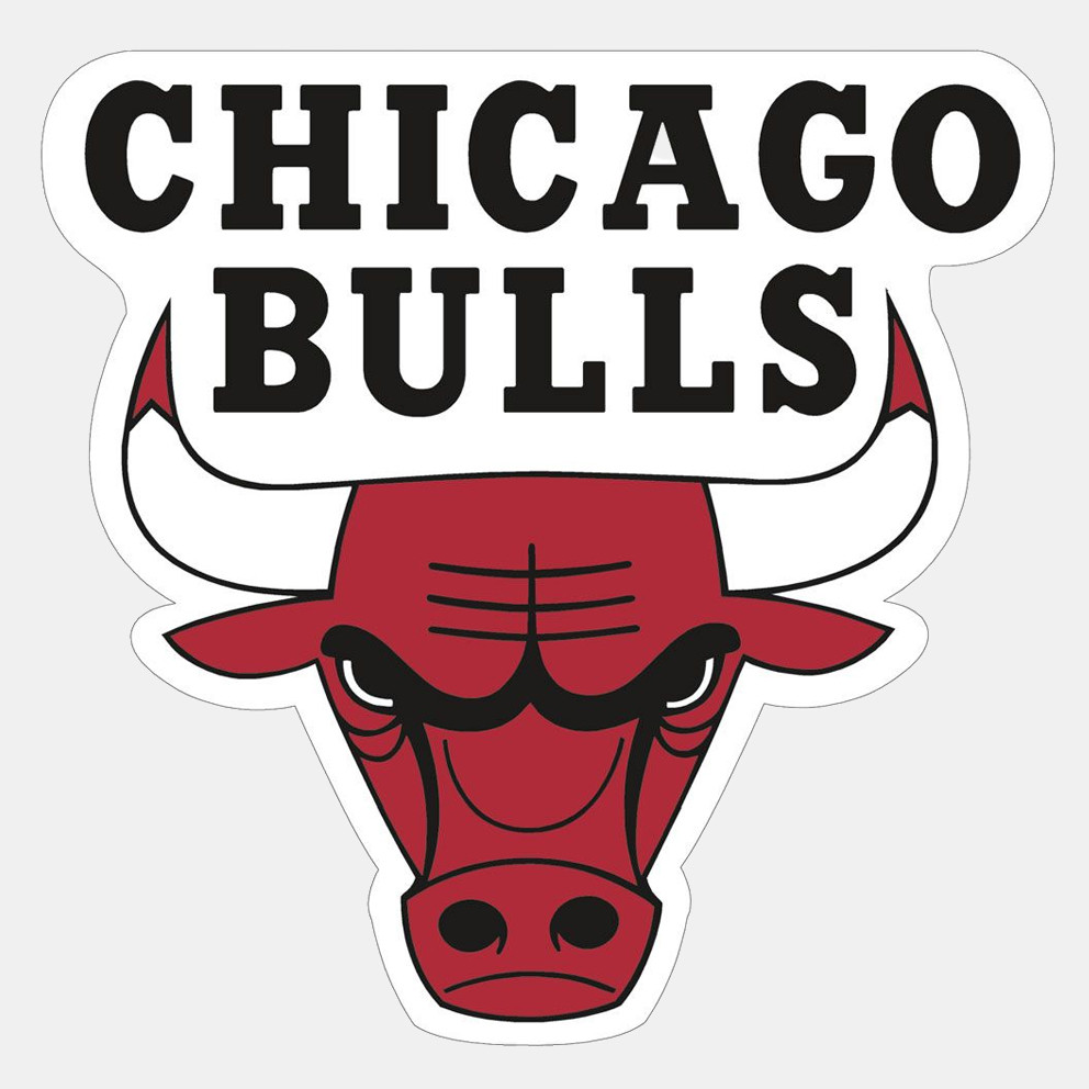 Wincraft Wincraft Nba Prc Mag Cd C Bulls (9000179090_16406)