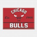 Wincraft Nba 2.5X3.5 Mgnt C Bulls