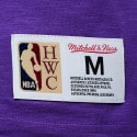 Mitchell & Ness NBA Toronto Raptors Legendary Slub Vintage Men's T-shirt