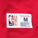 Mitchell & Ness Nba Fashion Mesh V-Neck Vintage Lo