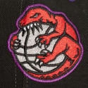 Mitchell & Ness Nba Overbite Pro Snapback Toronto Raptors Men's Cap