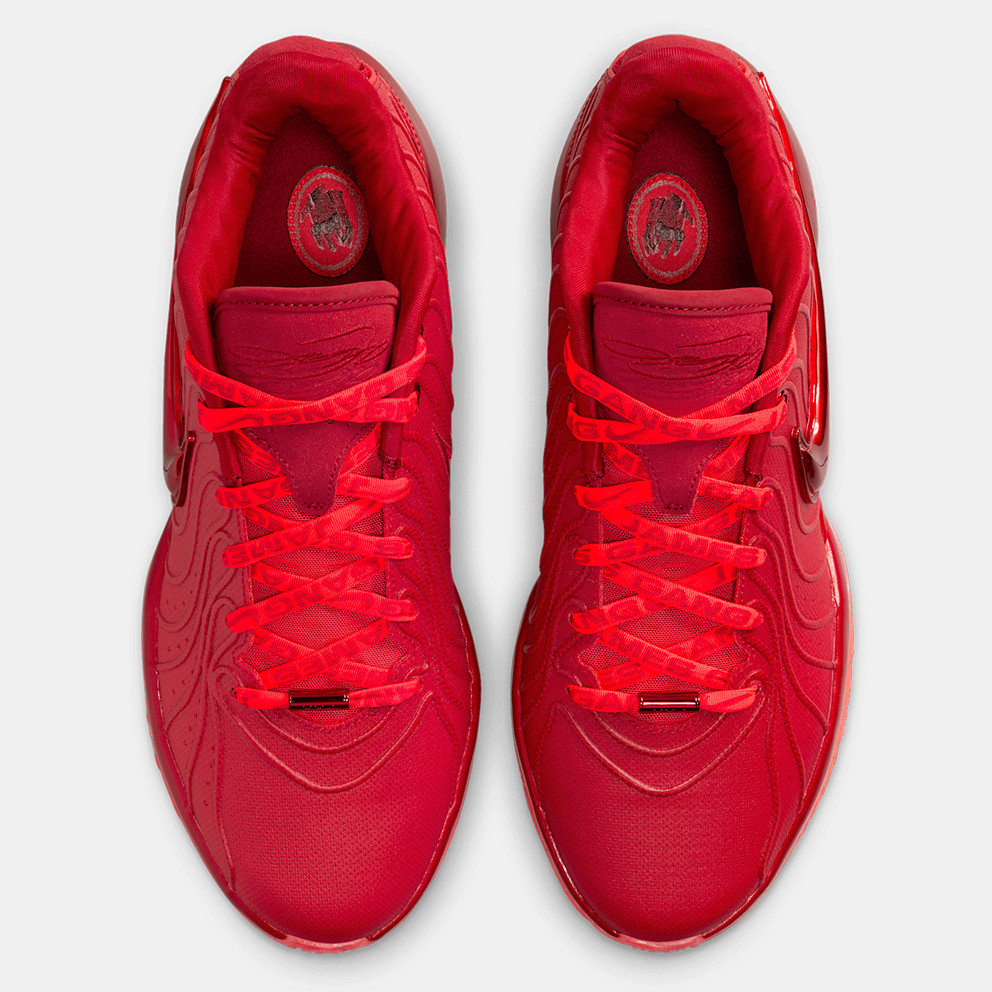 Nike Lebron 21 "James Gang" Aνδρικά Μπασκετικά Παπούτσια