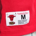Mitchell & Ness NBA Ultimate Player Vintage Ανδρικό T-Shirt