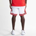 Nike Chicago Bulls Edition Swingman NBA Ανδρικό Σορτς